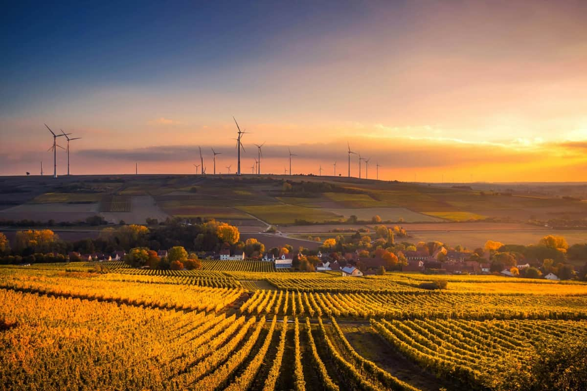 sostenibilidad de la logística de envíos urgentes